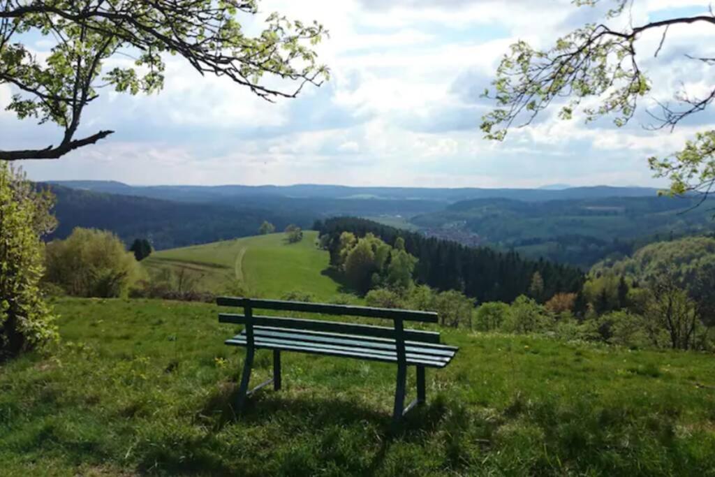 Ruhiges Ferienhaus Am Waldrand Mit Sauna Und Kamin - Hellaberg II Langenbach  Exterior foto