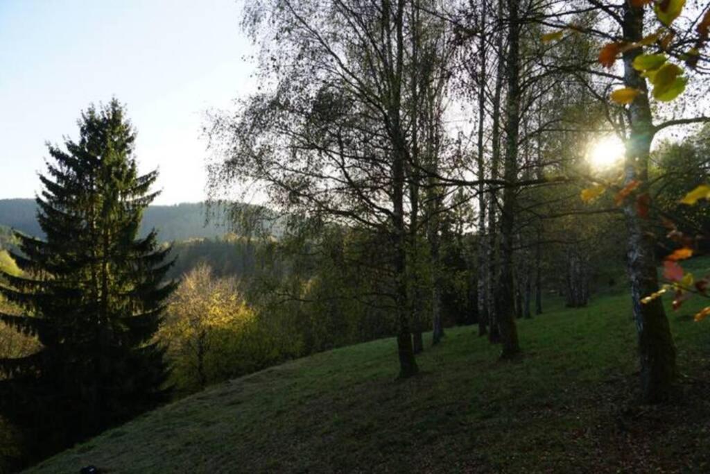Ruhiges Ferienhaus Am Waldrand Mit Sauna Und Kamin - Hellaberg II Langenbach  Exterior foto