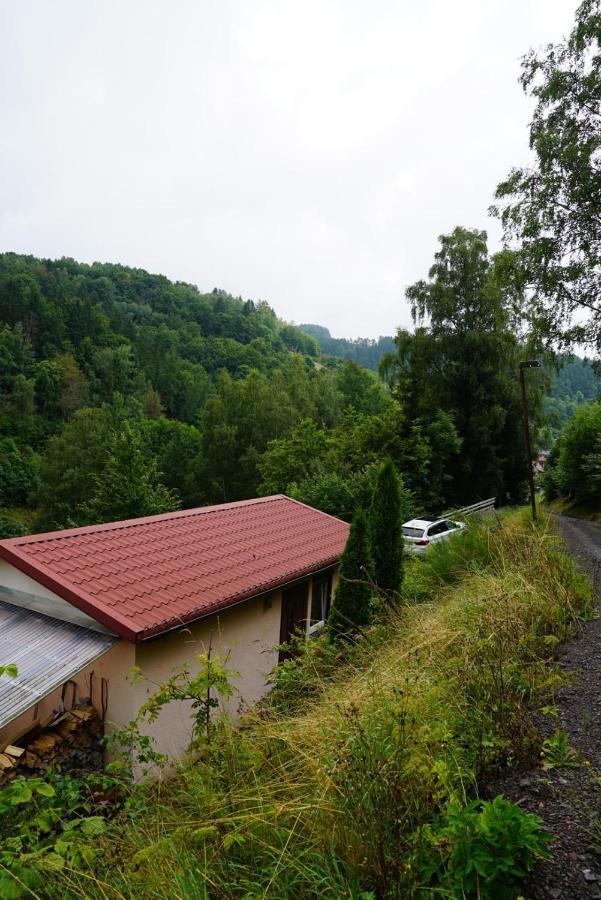 Ruhiges Ferienhaus Am Waldrand Mit Sauna Und Kamin - Hellaberg II Langenbach  Exterior foto